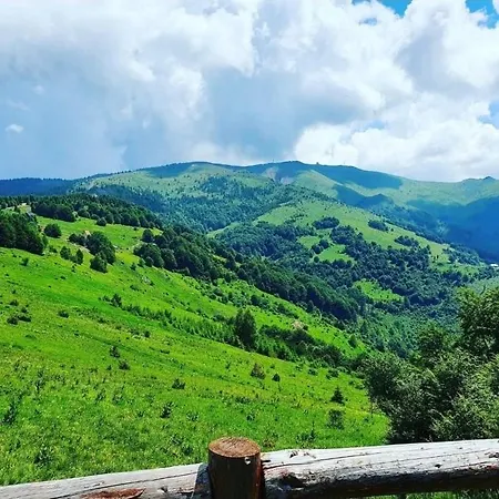 Dizdarevic * Kopaonik