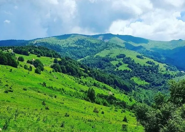 Dizdarevic * 科帕奥尼克