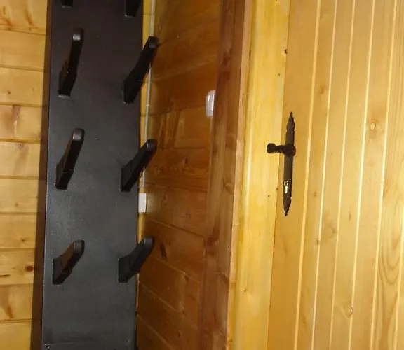 Dizdarevic 科帕奥尼克