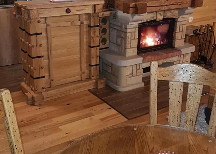 Dizdarevic 科帕奥尼克